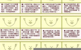 女人面相算命图解(女人面相术语)