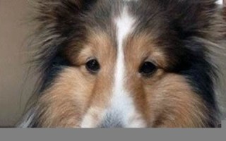 2016年3月24日(2016年3月24日到今天是多少天)