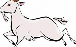 属羊2018年运势及运程(属羊人2018年全年运势详解)