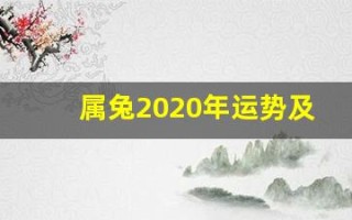 属兔2020年运势及运程(1999年属兔2025年的运势)