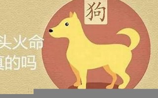 94年属啥的(94年属啥的多大了女的)