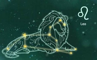 狮子座(狮子座是水象还是火象) 狮子座(狮子座是水象还是火象)