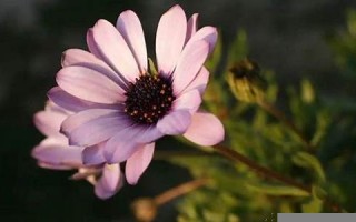 6月12日(2005年6月12日)