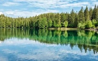 十二星座测试(十二星座测试免费) 十二星座测试(十二星座测试免费)