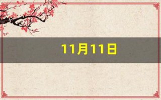 11月11日(11月11日英文) 11月11日(11月11日英文)