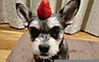 2016年1月30日(2016年1月30日农历是多少)