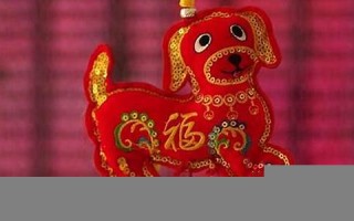 属狗人2022年全年运势运程(属狗人2022年全年运势运程女性)