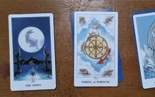 塔罗在线测试(塔罗在线测试他会教我吗)