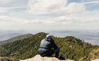 属猪人2023年全年运势及运程(2007年属猪2025年运势及运程)