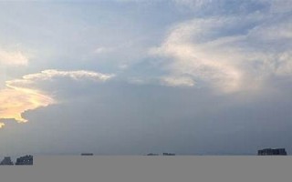 7月29日(7月29日英语) 7月29日(7月29日英语)