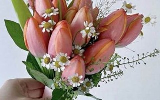 2014年3月黄道吉日(2014年3月黄道吉日一览表)