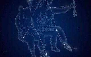 双子座(双子座是什么象星座)