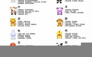 属相性格查询(属相 性格)