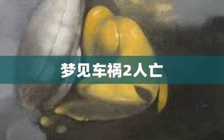 梦见父亲车祸(梦见父亲车祸受伤见血)