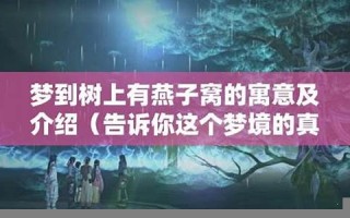 梦到树(梦到树上结了好多果子什么意思)
