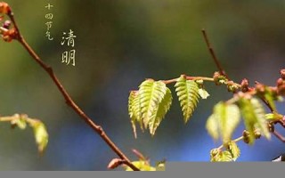 二月廿六(农历二月廿六)