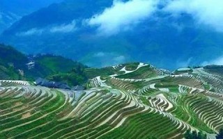 5月1(5月1日是什么星座的人) 5月1(5月1日是什么星座的人)