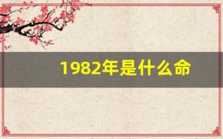 1982年是什么命(1982年8月27日是什么命)