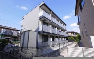 9.19(919是什么星座啊)