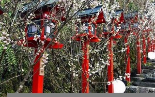 4月5日(4月5日生日的动漫人物)