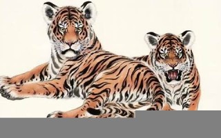 属虎的今年多大了(属龙的今年多大了)