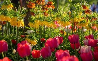 4月4日(1999年4月4日)