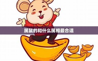 属鼠和什么属相最配(60年属鼠和什么属相最配)