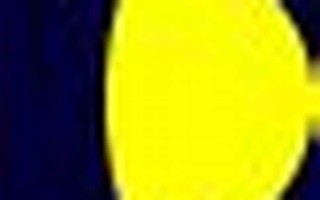 2016年4月28日(2016年4月28日出生)