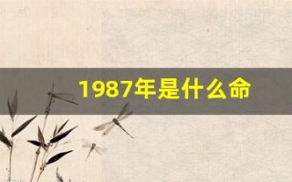 1987年是什么命(1988出生的人是什么命) 1987年是什么命(1988出生的人是什么命)