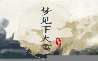 梦见下大雪(梦见下大雪了周公解梦原版)
