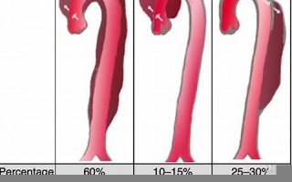 ab型血的性格(ab型血的性格特点男)