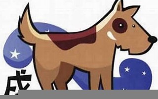 属狗人2013年运势(属狗人2024年全年运势 女性)