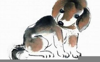 1982年属狗的人2013年运程(1982年属狗2013年运势)