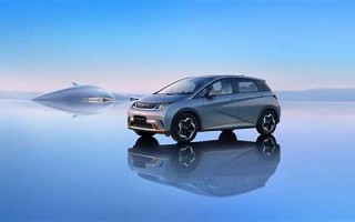 受人诟病(受人诟病的文言文翻译)