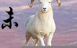 属羊2023年的运势及运程(属羊2023年的运势及运程每月)