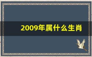 2009年属什么生肖(2009年属什么生肖什么命)