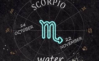 11月19日是什么星座(12月19日是什么星座) 11月19日是什么星座(12月19日是什么星座)