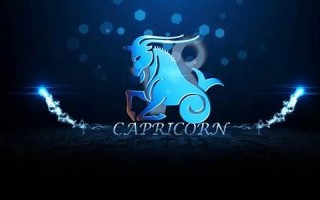 摩羯座性格特征(摩羯座性格特征简介)