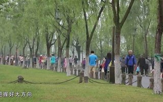 2016年4月8日(2016年4月8日是什么命) 2016年4月8日(2016年4月8日是什么命)