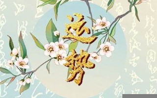 2011年生肖运势(2011年出生2022年运势)