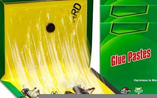 5.31(5.31是什么节日) 5.31(5.31是什么节日)