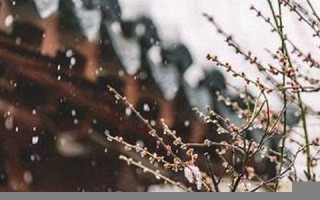 9月22日是什么日子(9月22日是什么日子农历) 9月22日是什么日子(9月22日是什么日子农历)