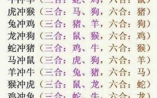 一言不合是什么生肖(一言不合是什么生肖动物)