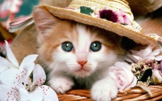 12月19(12月19日是什么日子)