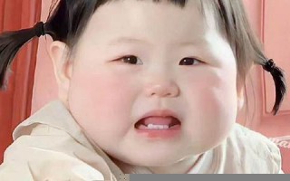 狗都不谈的四大星座(狗都不谈的星座)