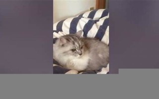 2013年9月8日(2013年9月8日是什么星座)