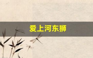 爱上河东狮(我爱河东狮续文)