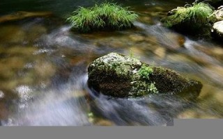 2016年7月6日(2016年7月6日是什么星座)