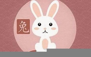 属兔男最佳婚配属相(属兔男最佳婚配属相表)