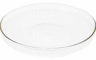 a型血女的性格(a型血液的人是什么性格)